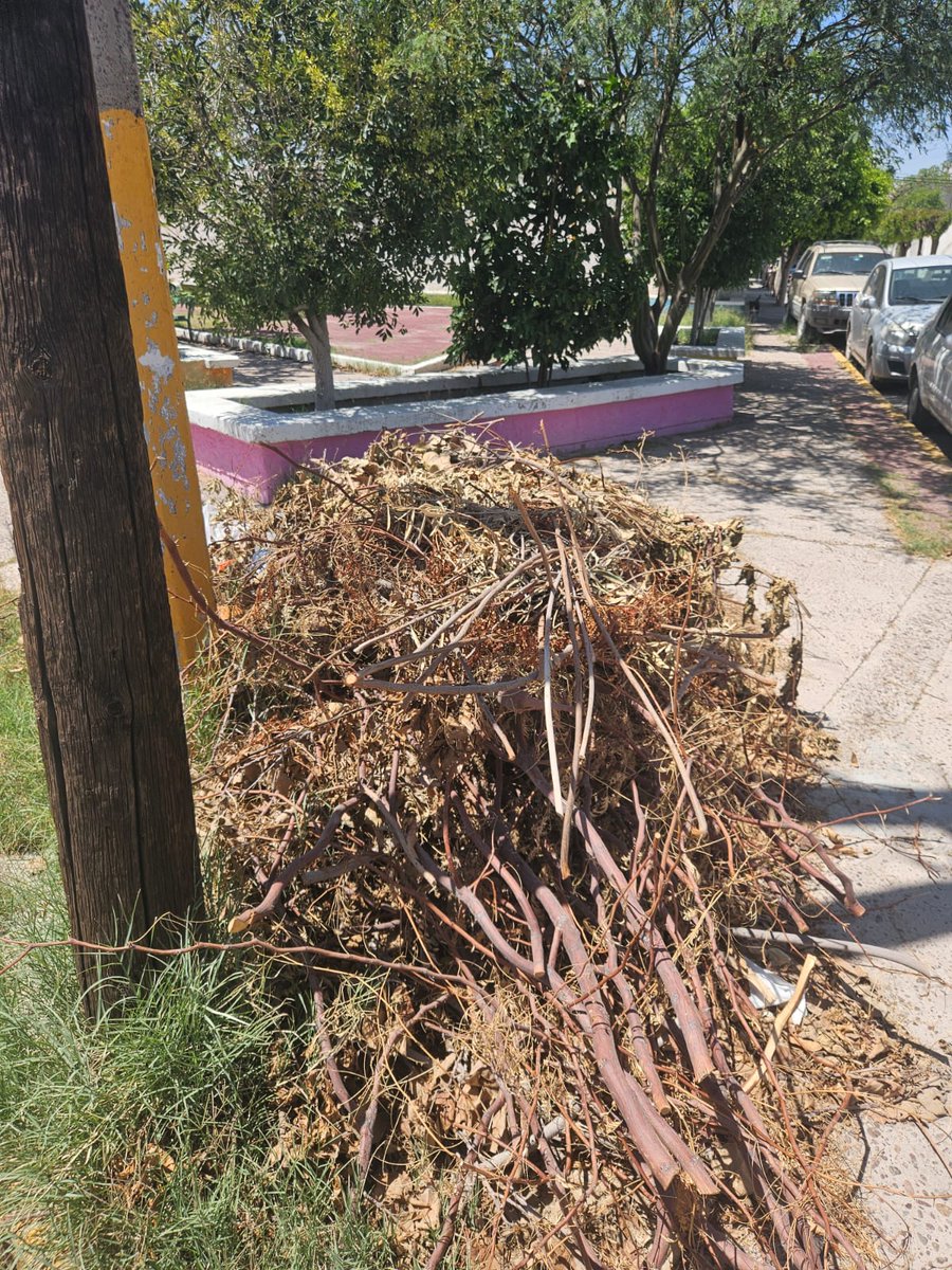 SNCHB's tweet photo. @AyuntamientoGP 
Hace 3 días que hice la misma publicación, ni ustedes ni Servicios Públicos de Gómez Palacio dan una respuesta.
Desde el miércoles de semana santa vinieron a la plaza de la Colonia Valle Campestre,  dejaron hojas y ramas, nunca volvieron. https://t.co/p5cb08Vv8Q