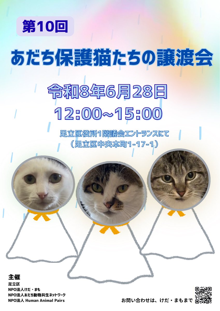 NPO86247662's tweet photo. 足立区役所での譲渡会が開催されます‼️

来月6/28（日）足立区役所の議会エントランスにて譲渡会を行います。

梅雨真っ只中？かもしれませんが、たくさんの猫が参加予定です🐌☔️

#足立区
#譲渡会
#NPO法人けだ・まも https://t.co/s03qmmqdm2