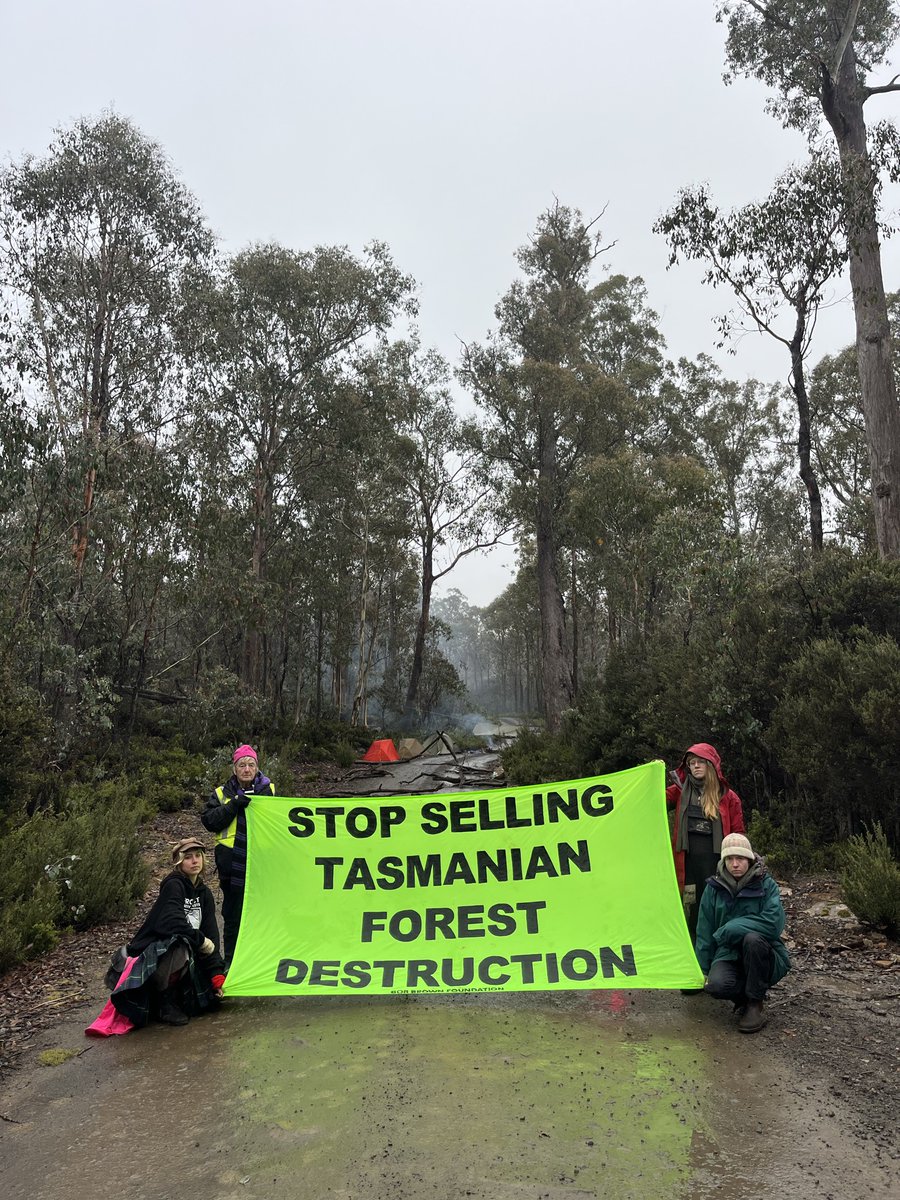 BobBrownFndn's tweet photo. This morning in Tasmania’s Central Highlands, forest defenders were evicted by police after occupying a logging area where 86% of the forests being destroyed are being woodchipped. #politas
https://t.co/s8SXLZeeYv https://t.co/pzTtNsoDRV