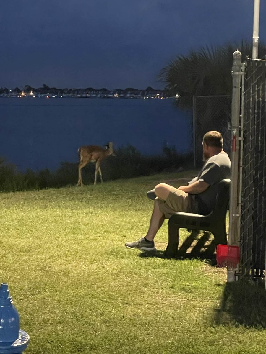 Generice08's tweet photo. Love God's Nature
#Deer #beach https://t.co/7GCIWH7V8R