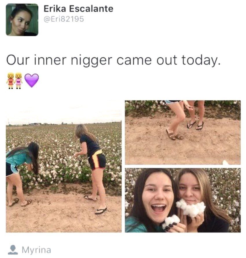 Garbage Human tweet media
