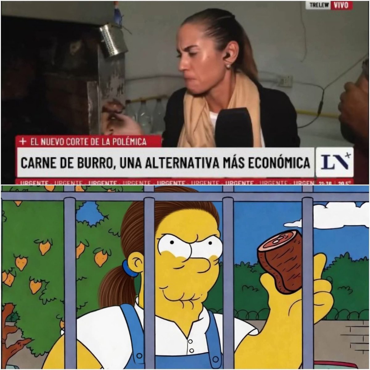 Mexica Jurista tweet media
