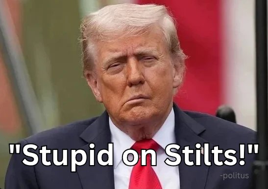 PolitusX tweet media
