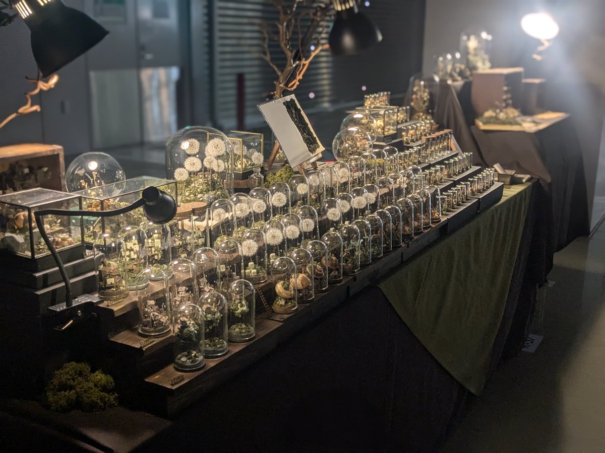 キノ/樹のかけら tweet media