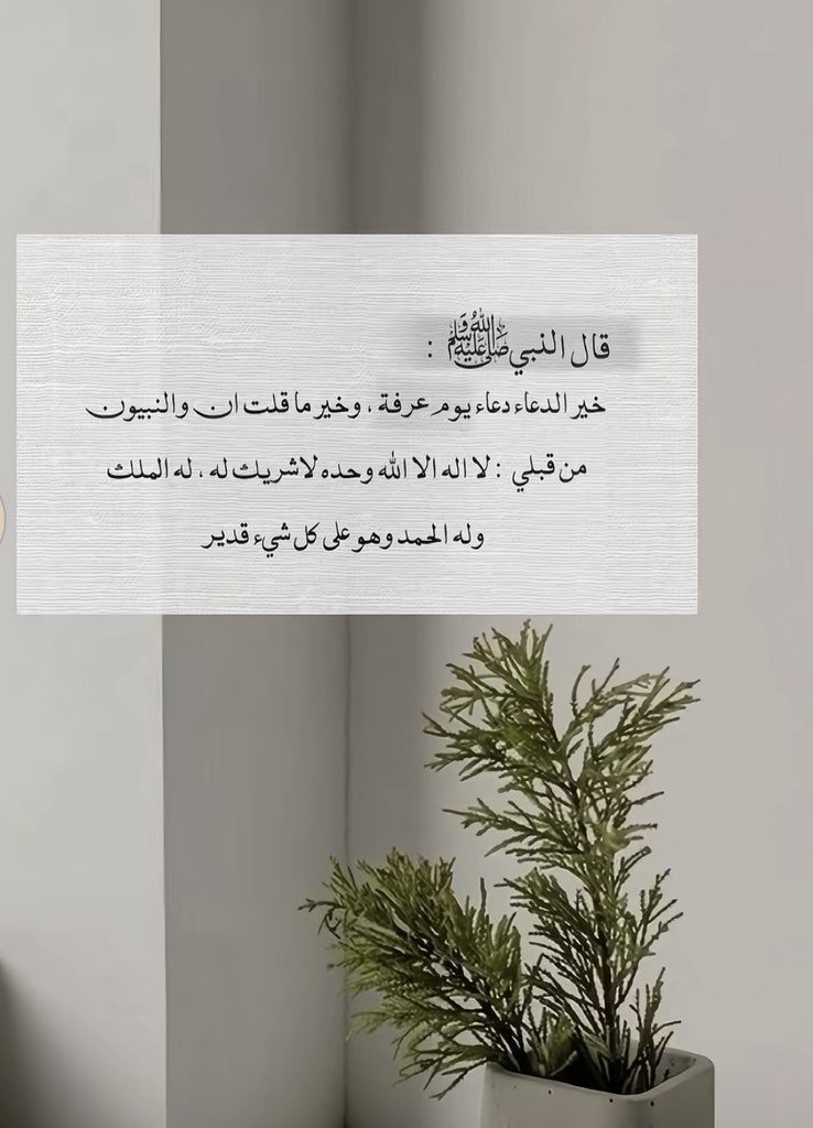 فرح✨. tweet media
