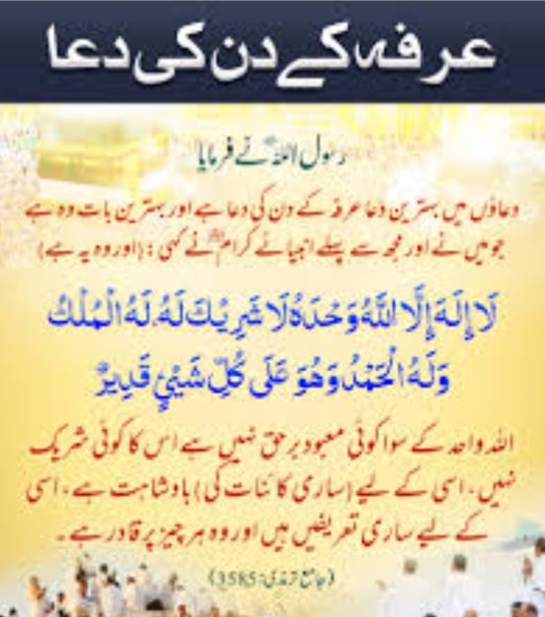 Kashif Bhutta (🇵🇰 #SaudiaSmt 🇸🇦) tweet media