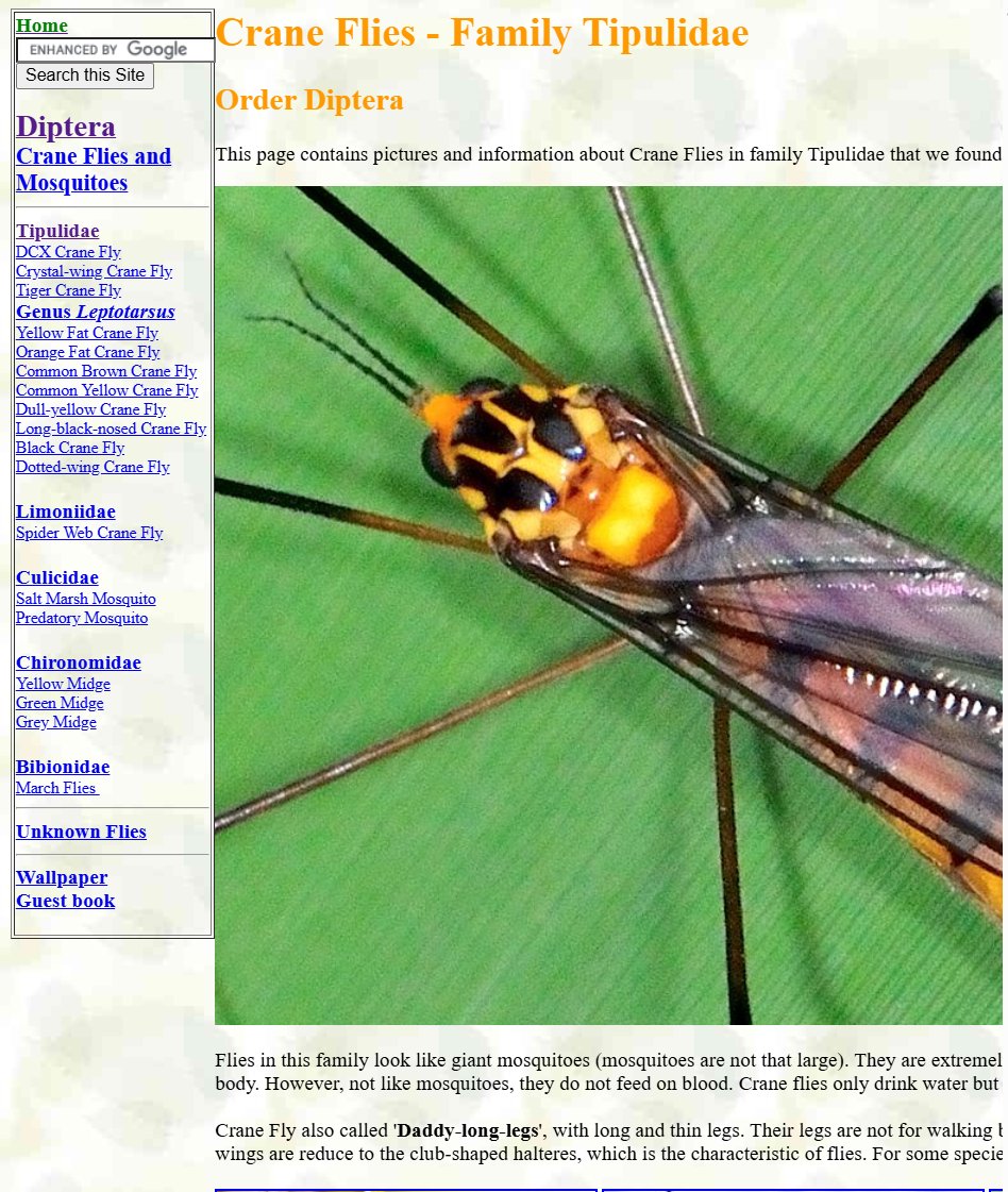 (The Guardian Of The Threshold) - (Elizevea) tweet media