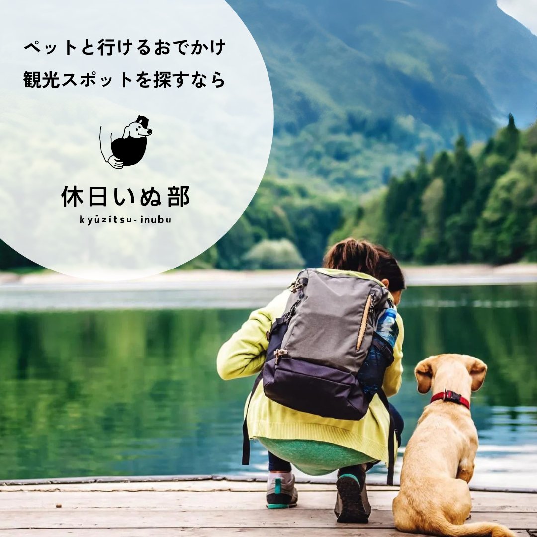 KEarlyBirdGC's tweet photo. 📢この度、ペット専門旅行サイト
『休日いぬ部』にて、当施設をご紹介いただきました！   ▼ https://t.co/vyGzc1WaIP 
#休日いぬ部 
#清里アーリーバードゴルフクラブ 
#ゴルフ場 
#野辺山
@kyuzitsu_inubu_
@kyuzitsu_inubu https://t.co/R2TNvsoBX6