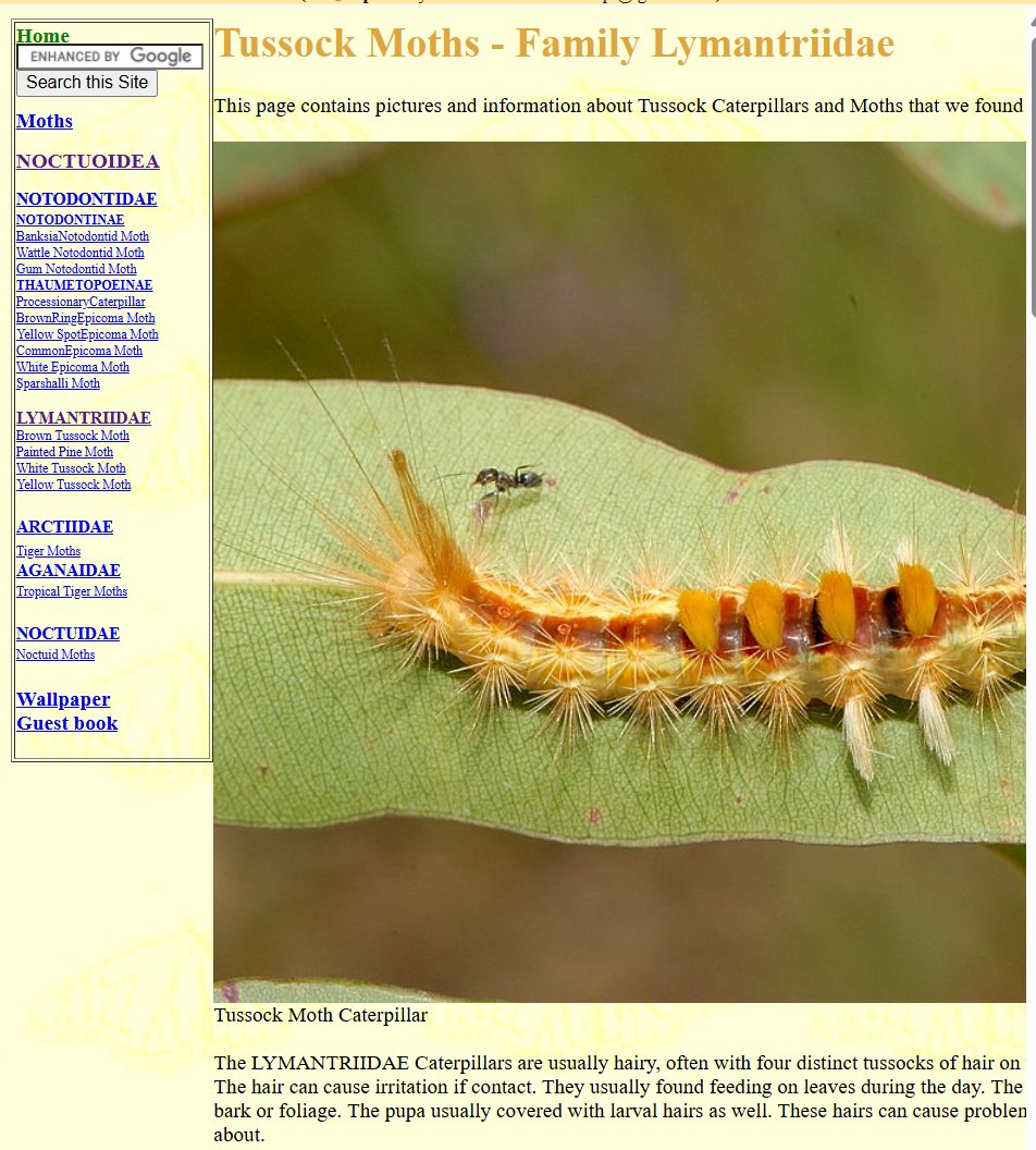 (The Guardian Of The Threshold) - (Elizevea) tweet media