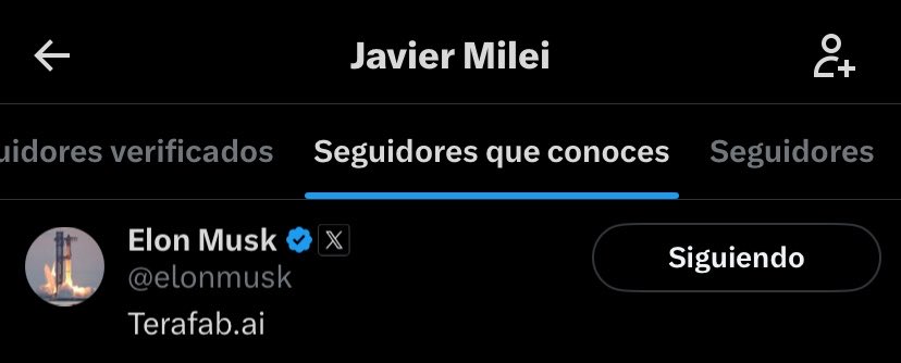lorem ipsum tweet media