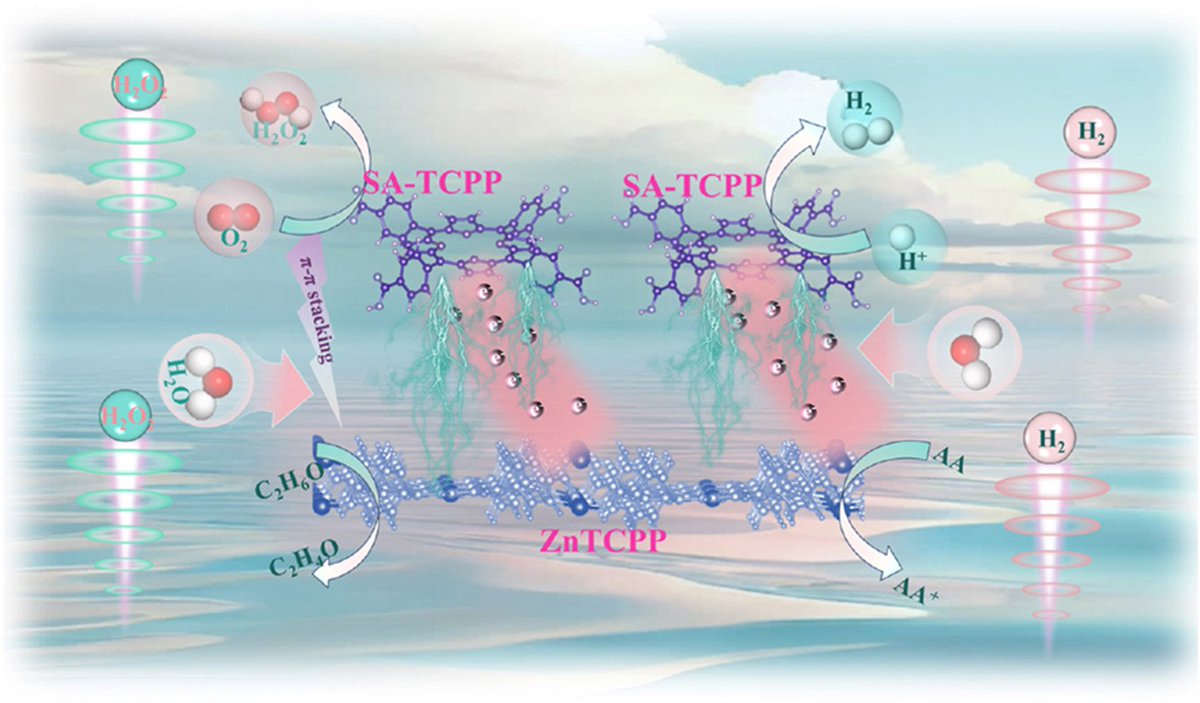 ActaPhysChimSin's tweet photo. Strong built-in electric field promoted by π-π stacking charge-transfer channels in #HOFs/#MOFs S-scheme heterojunction for boosting #photocatalytic #H2 or #H2O2 production https://t.co/DmvPnHGVJ3
@MOF_papers @hof_news @Photocat_papers @photocatnews https://t.co/3Z5VZkPkRw