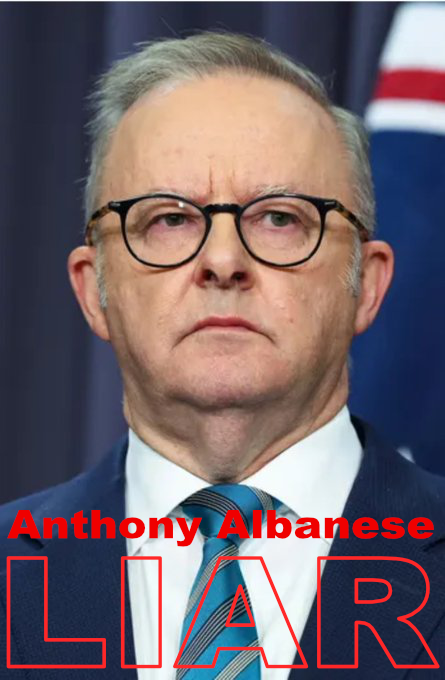B. D'man 🇦🇺 tweet media