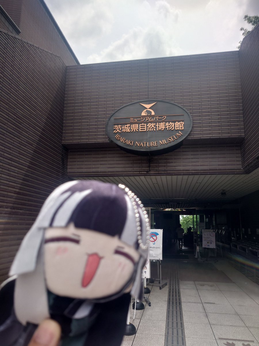俵屋亭嵐来(らんく)🚑🐚💬🔁💙 tweet media