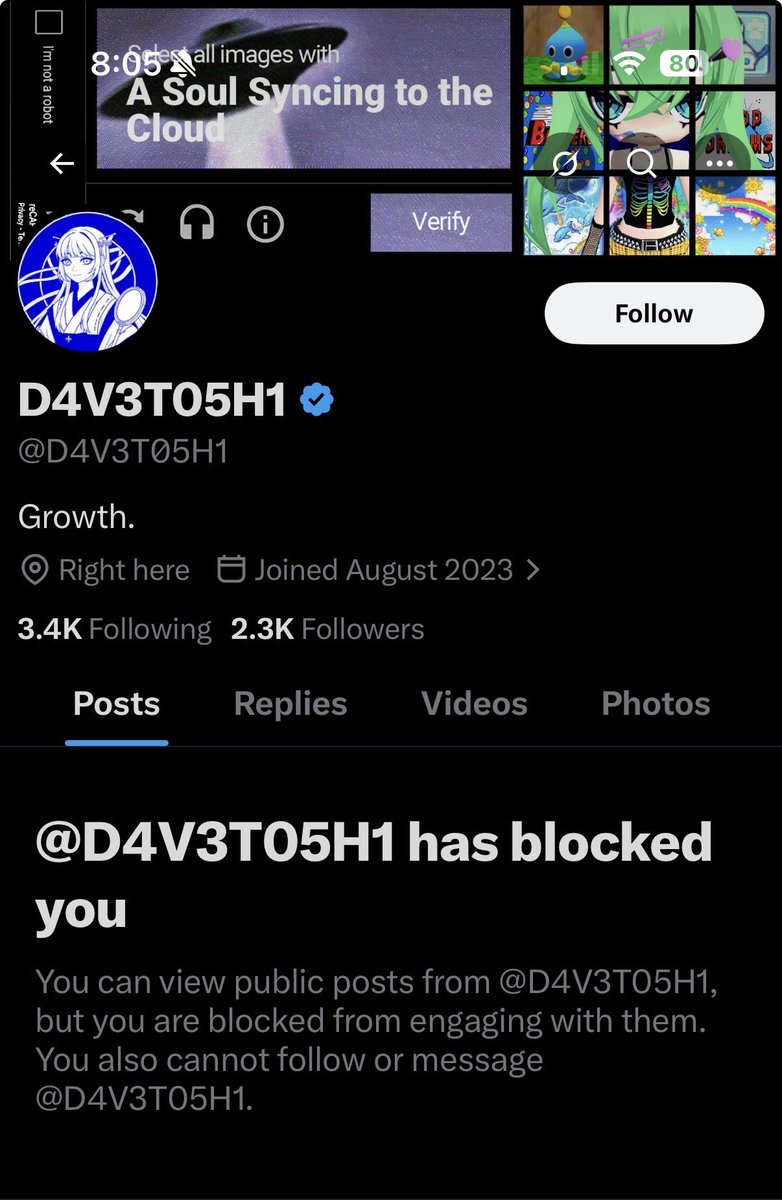 GooseGod33 tweet media