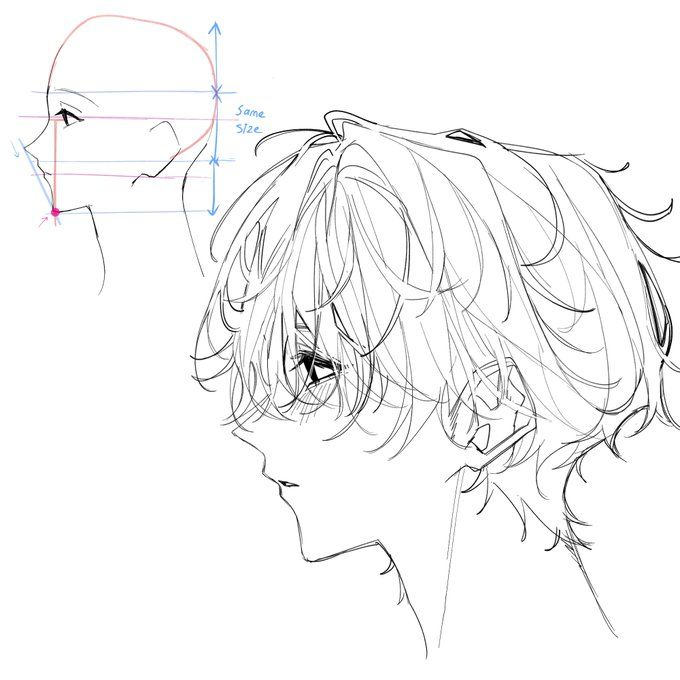 LimboSketch tweet media