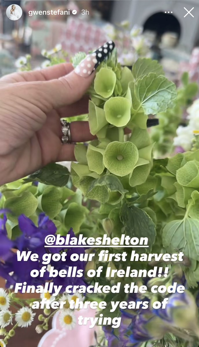 SHEFANI ❤️ The Sheltons ❤️ Thank God 🙏🪻🙏 tweet media