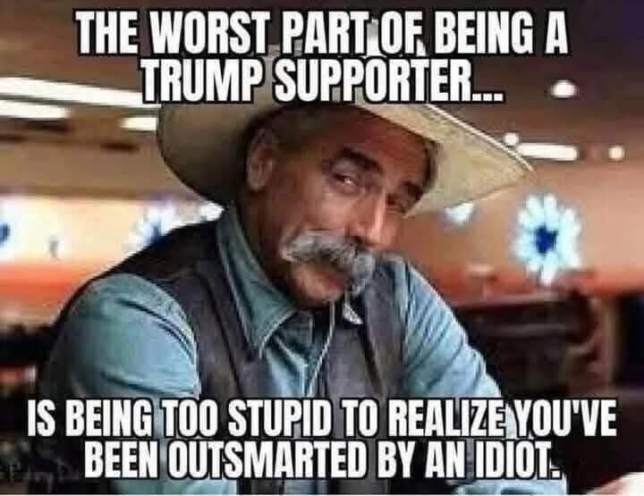NeverTrumper tweet media