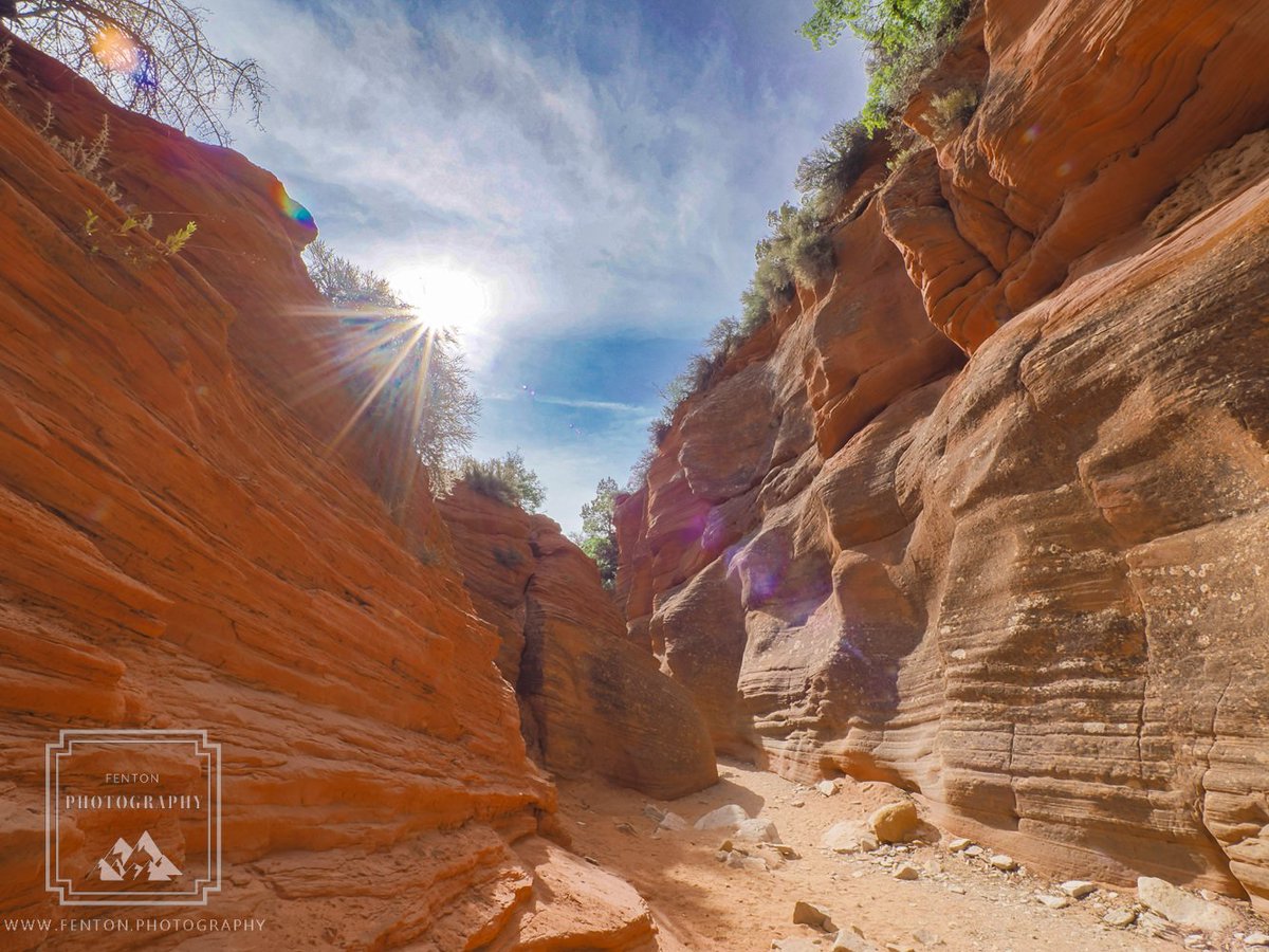 FentonPhoto's tweet photo. Peekaboo Canyon Sunflare. #Bluesky #clouds #sunflare #sunray #Canyon #PeekabooCanyon #Kanab #Utah #SouthernUtah #hiking #vacation #travel #photography #dreamlandsafari @_DailyEarthpic @the_gpc_ @VisitUtah @travelSUT https://t.co/Kh5MC2YaTe