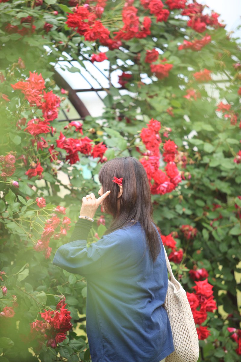 premiumsweets7's tweet photo. 薔薇園散策🌹 https://t.co/P7KjvyV8x4