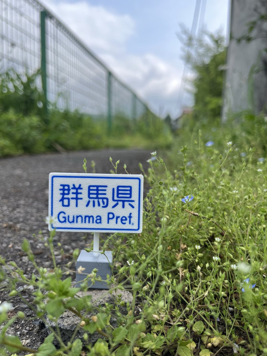 (一社)嬬恋村観光協会 tweet media