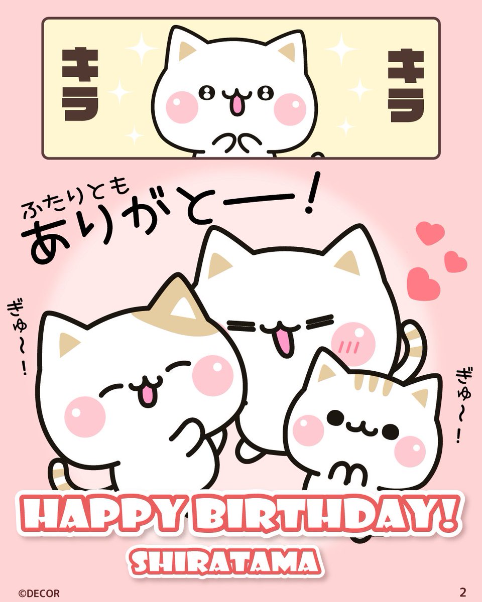 DECOR_Deco's tweet photo. しらたまお誕生日おめでとう🎉🎊
今日が三人にとっていい一日になりますように🍀

#気づかいのできるネコ #DECOR
#しらたま誕生日 #happybirthday https://t.co/HAqzolQx5U