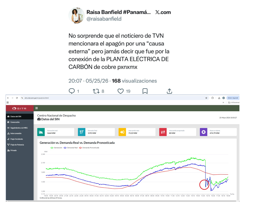 El Loro De Panamá Es Verde tweet media