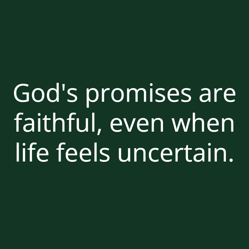 Devotions tweet media