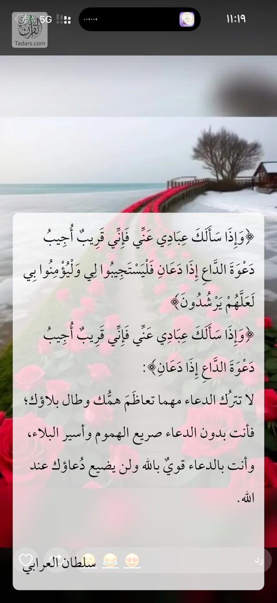 أ/ وداد الرشود 🌹 وقل رب زدني علماً 💚 tweet media