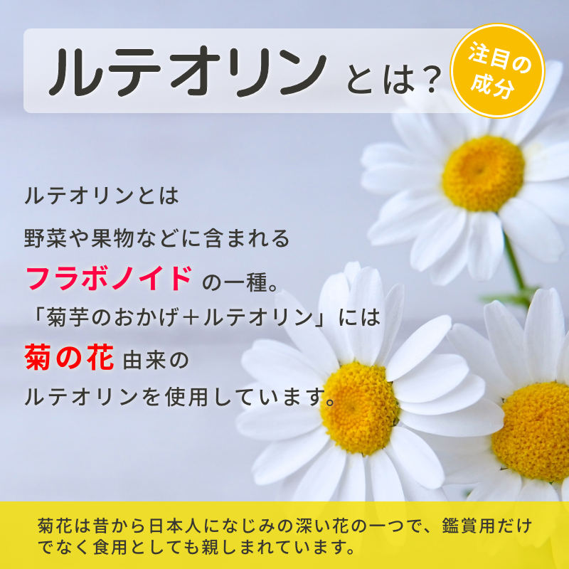 seiko1972shop's tweet photo. 「菊芋のおかげ+ルテオリン」特別価格（55％OFF）在庫限りで終了！ 賞味期限が近づいてきたため、期間限定で特別価格にてご提供いたします。 品質には問題ございませんので、安心してお召し上がりいただけます。 https://t.co/mOkTCHM75Y #イヌリン #ルテオリン https://t.co/8Cn72cN65N