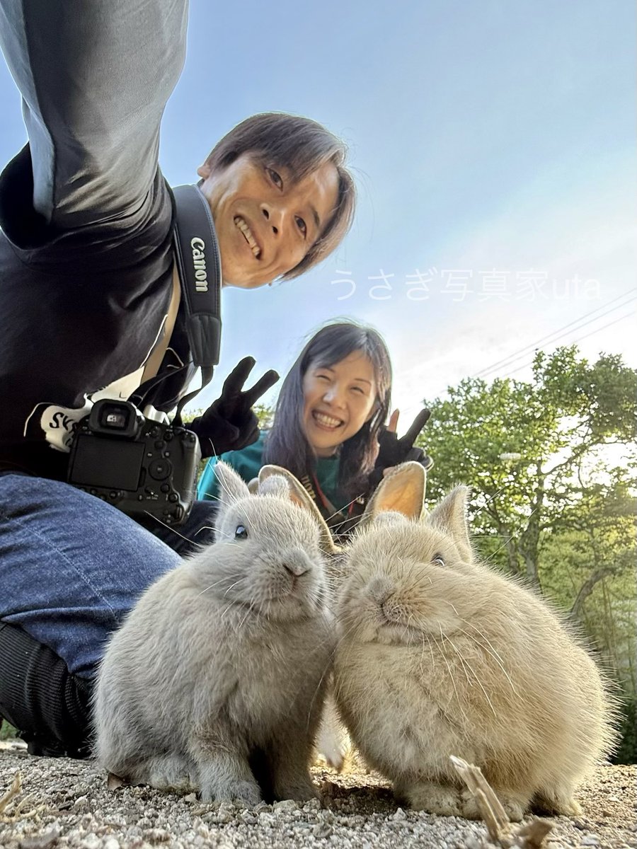 うさぎ写真家 uta tweet media