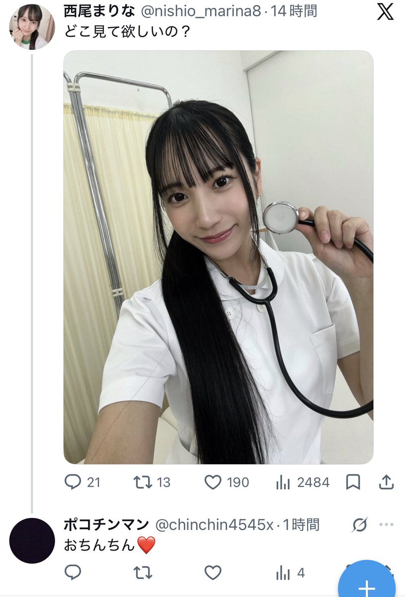 ハムスター tweet media