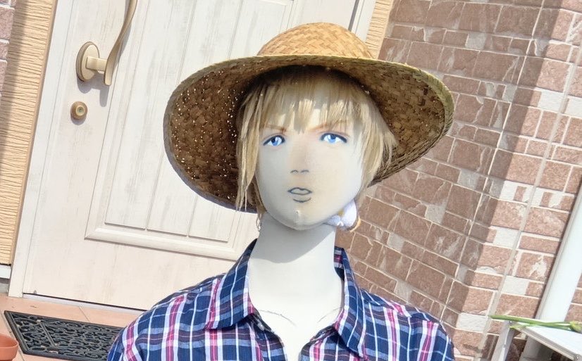 のまんじゅう tweet media