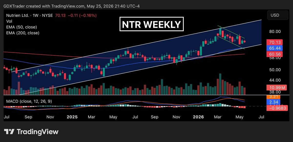 $Trader tweet media