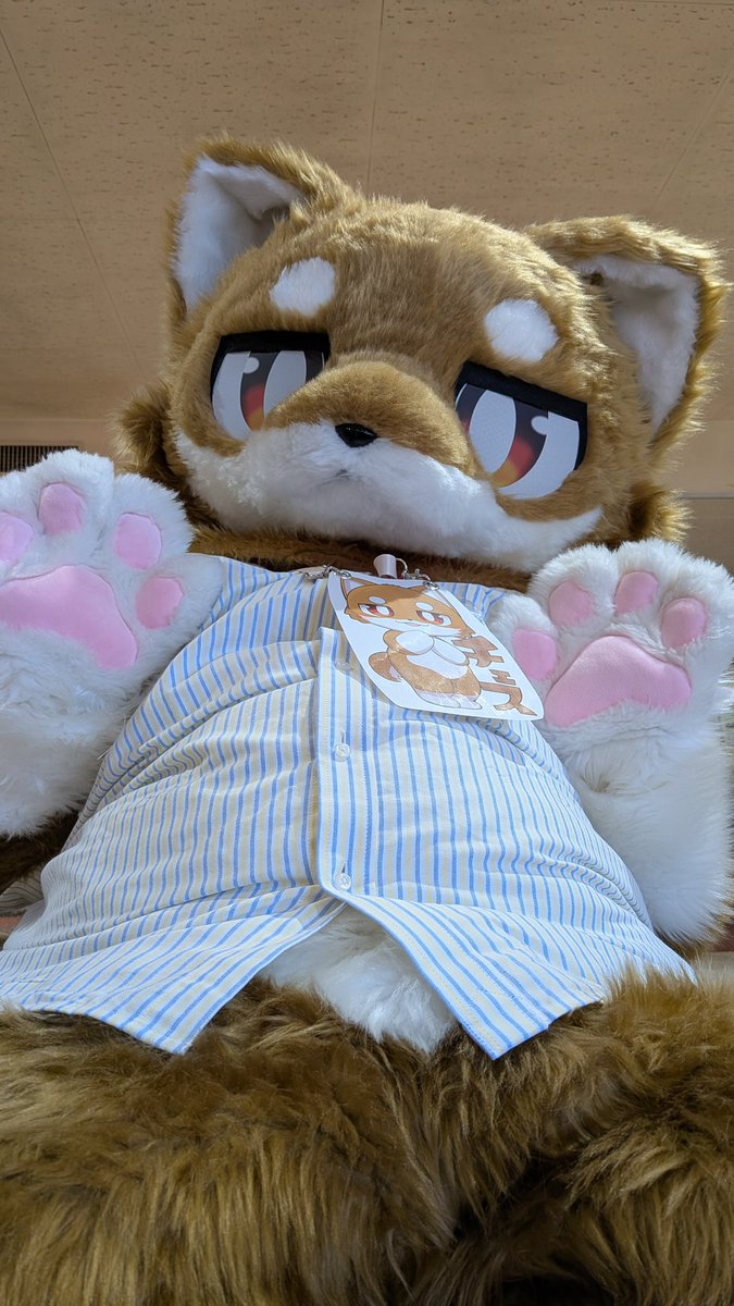りゅっく→OFFF tweet media