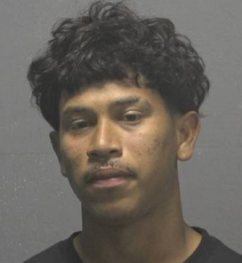 Illegal Alien Crimes tweet media