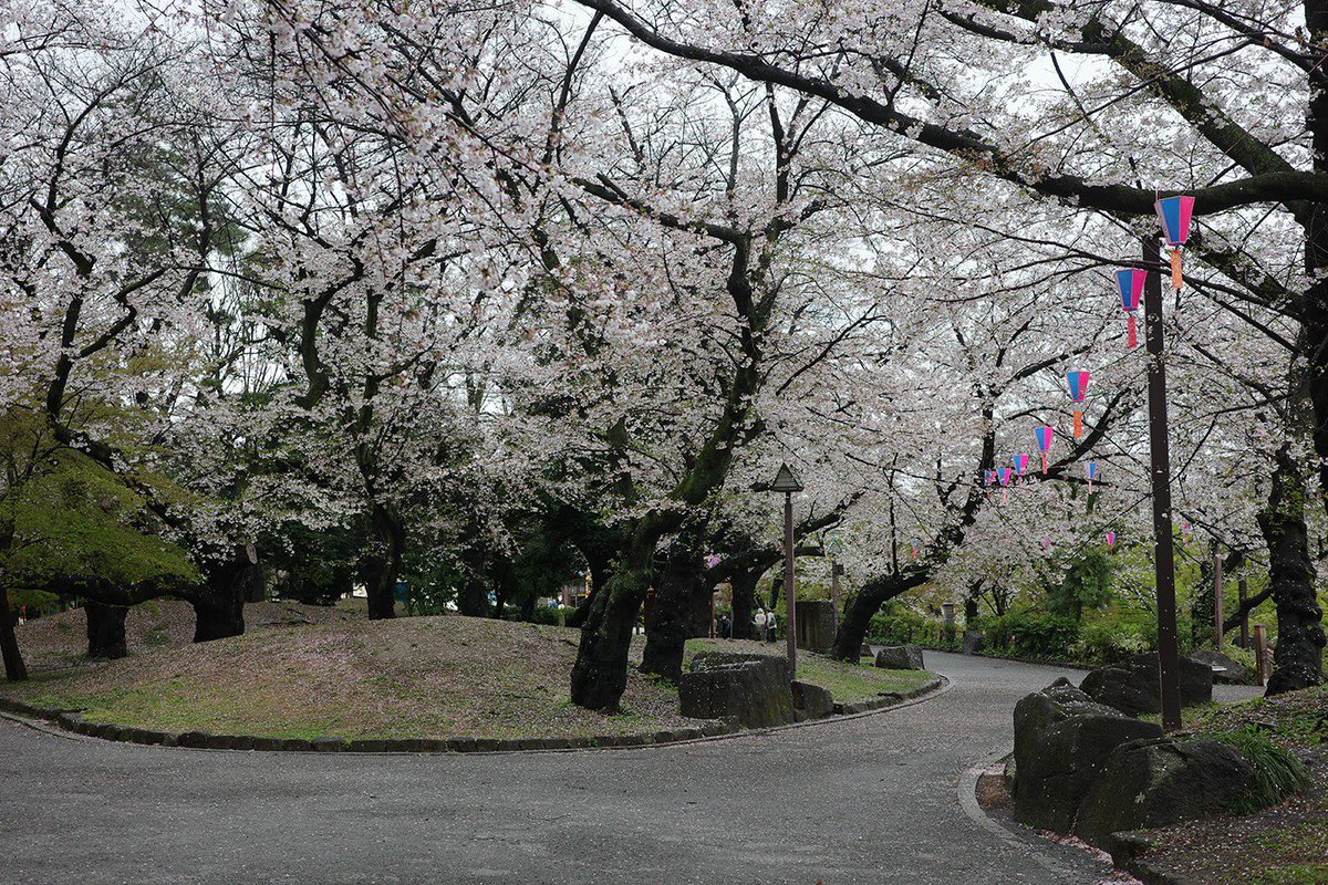 PCT_Japan's tweet photo. わたしが写真を撮りに行くのは、実は晴れより雨の日が多いです。

柊サナカのカメラぶらり散歩
第42話 雨の日には飛鳥山公園へ
@hiiragisanaka 

https://t.co/zWamTqHW3G

#ピクトコラム https://t.co/wQJeA5bU9u