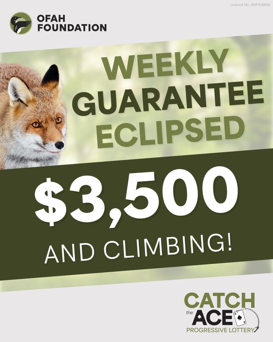 Assisting_You's tweet photo. The weekly guaranteed minimum has been eclipsed!

✅ Weekly prize now over $3,500
✅ Progressive jackpot now over $20,000

Sales close Wednesday at 11:59 PM.
Get tickets or top up: https://t.co/XsqB6qthLj

OFAH Foundation Catch the Ace Progressive Lottery | Licence #RAF1548618 https://t.co/xcthfg03L0