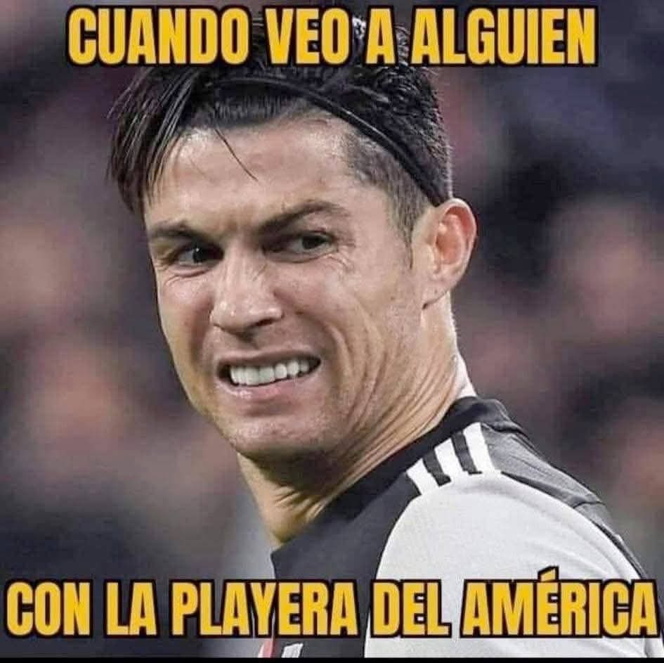 JavoRayado tweet media