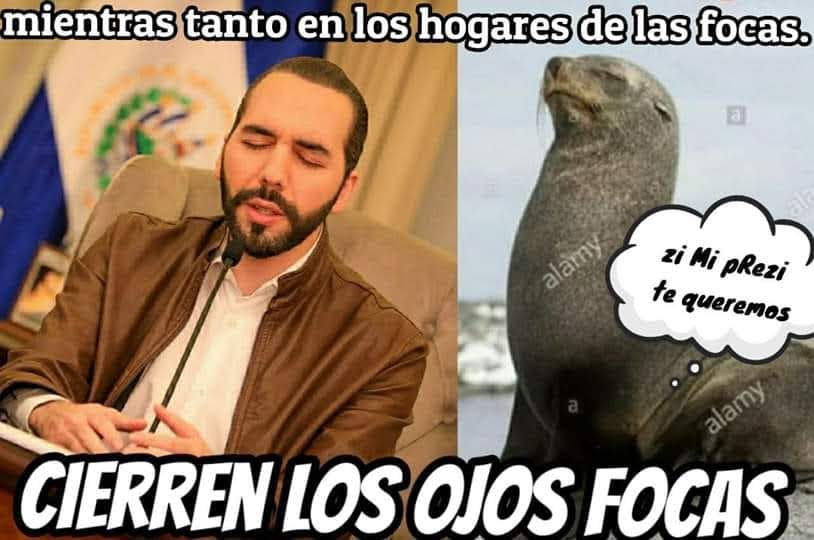 Mario Jose tweet media