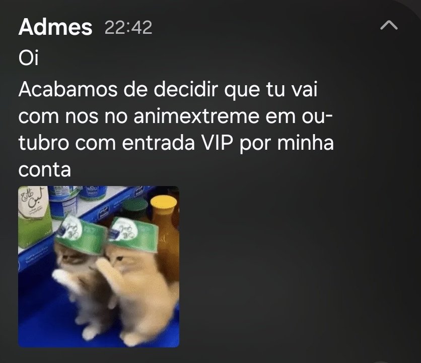 racconpunk tweet media