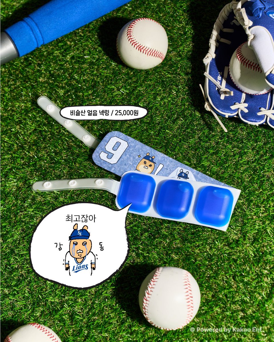 베리즈 라이온즈 팀스토어 tweet media
