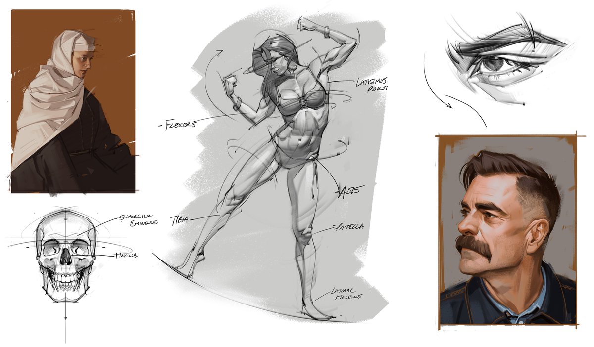 saqomolo's tweet photo. Some figure drawing, anatomy, and painting sketches! #portraitpainting #gesturedrawing #figuredrawing #gottogetbetter #eyes #drapery #shading #anatomy #humananaotmy #doodles #sketches https://t.co/rTCbf4oAh8