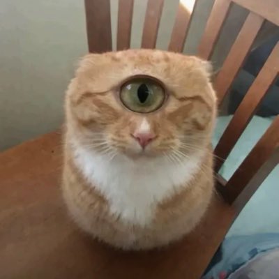 massa2shits's tweet photo. #NewProfilePic https://t.co/nYKfdUs5DT