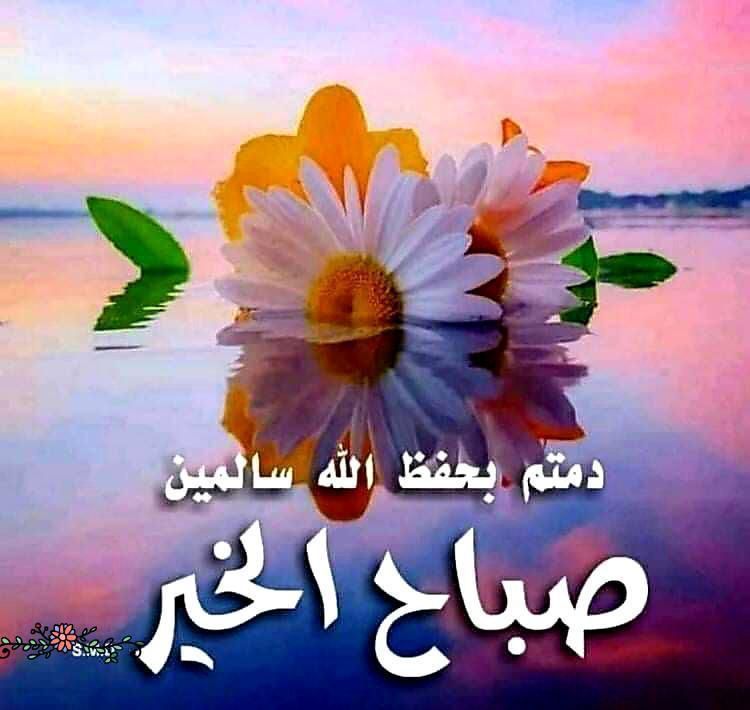ADEL tweet media