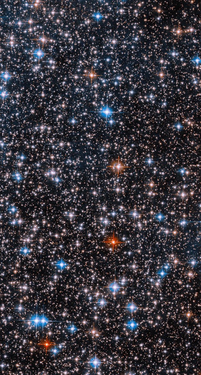moonloverxjpg's tweet photo. Amante de las estrellas https://t.co/E3NQs8DHaH