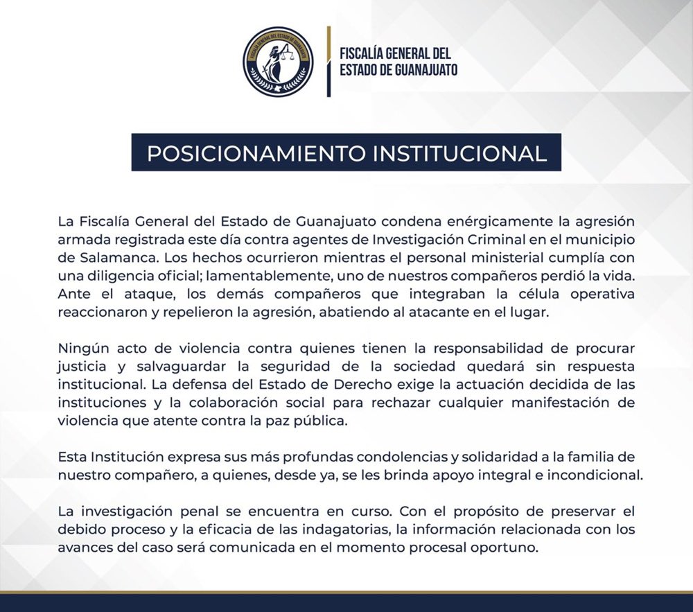 LuisCardenasMX tweet media