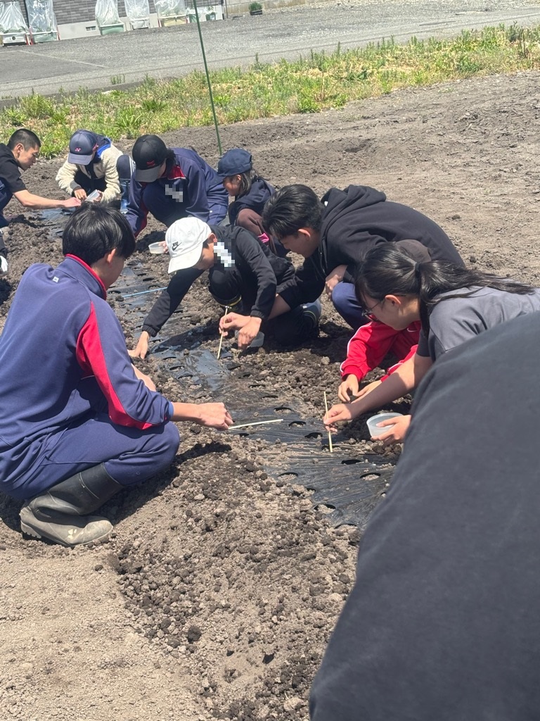 北海道 新ひだか町 tweet media