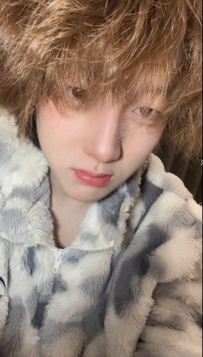 TreeLeaves0717's tweet photo. #4i #喵 https://t.co/b0zo6Bg379