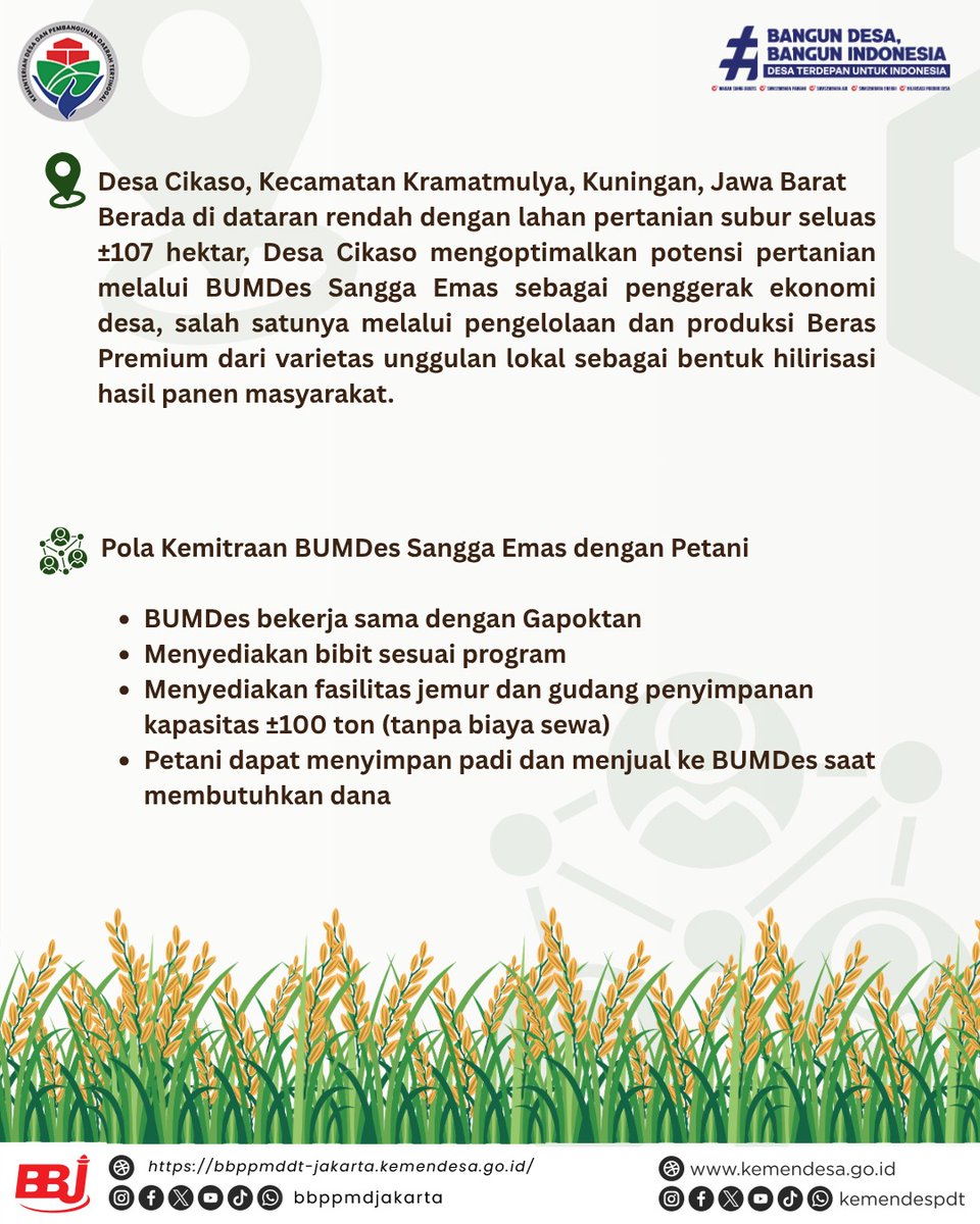 bbppmd_jakarta's tweet photo. 🌾 AADD | Dari Sawah Desa, Hadir Beras Premium Berkualitas 🌾

Halo #SobatDesa, Desa Cikaso, Kecamatan Kramatmulya, Kabupaten Kuningan, Jawa Barat membuktikan bahwa potensi pertanian desa mampu menjadi penggerak ekonomi masyarakat melalui pengelolaan https://t.co/vtw5rnXF4r