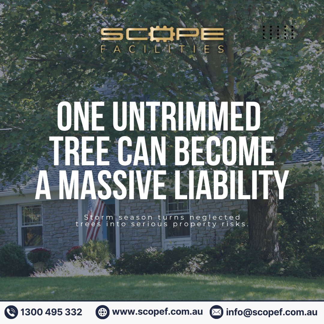 au_scope's tweet photo. 🌳 One neglected tree branch can quickly become a serious property risk. 

📞 1300 495 332 
💻 https://t.co/D4C9WfC1YS 
📧 info@scopef.com.au 

#Arborist #CommercialGardening #TreeMaintenance #PropertyMaintenance #FacilityManagement #StormPreparation https://t.co/8TO5RtAfGD